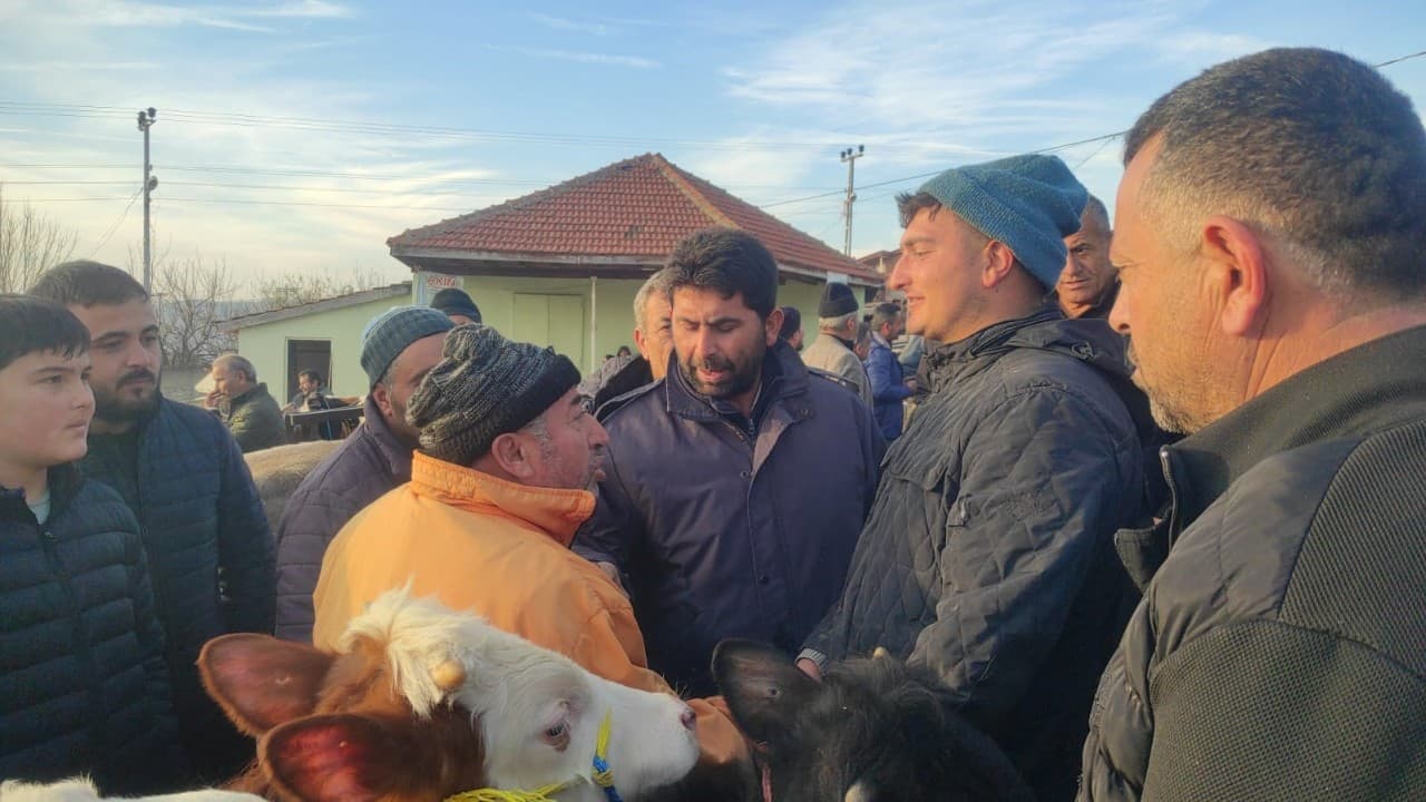 Çekerek'te Hayvan Pazarı Şap Sonrası Yeniden Açıldı Çekerek'te Hayvan Pazarı Şap Sonrası Yeniden Açıldı