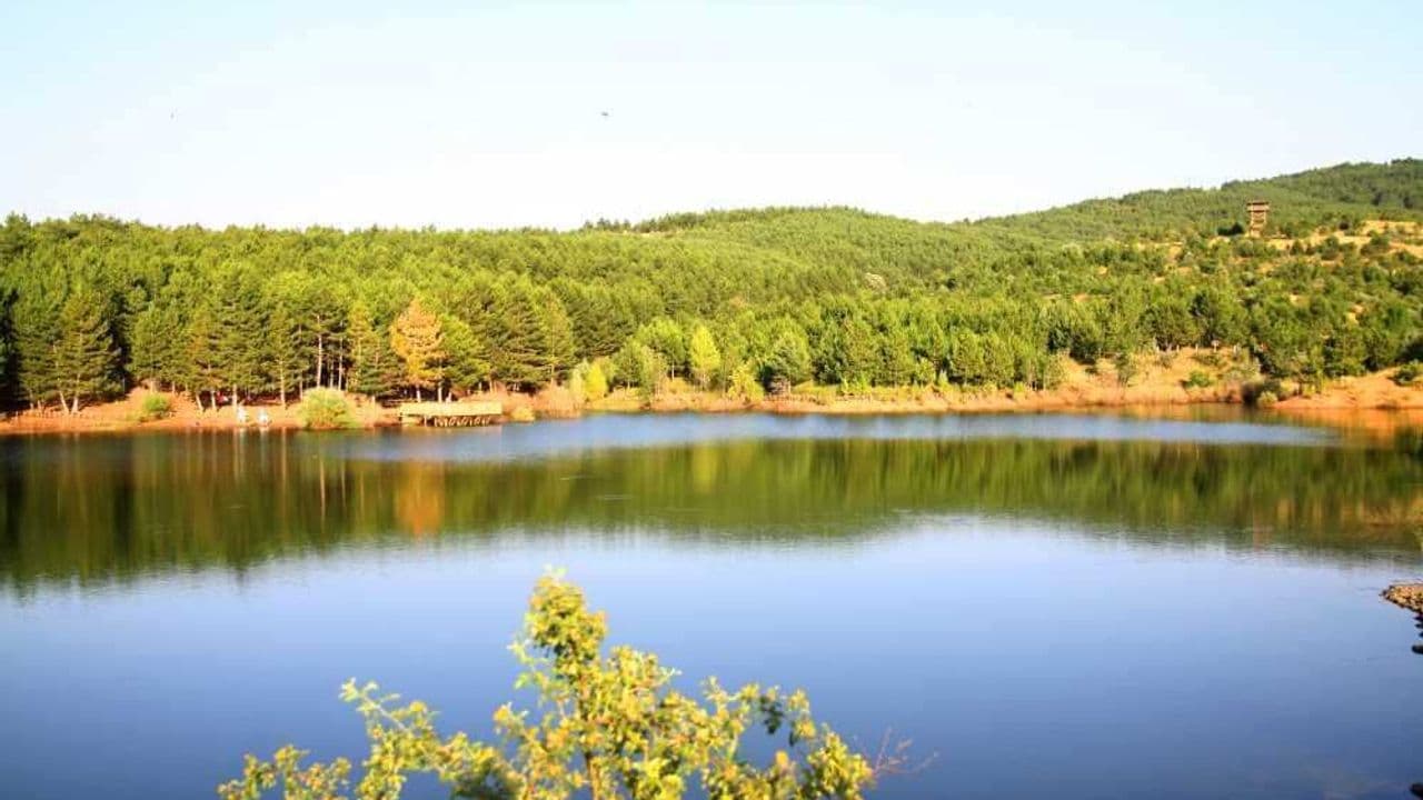 Yozgat Çamlığı Milli Parkı: Türkiye'nin İlk Milli Parkı