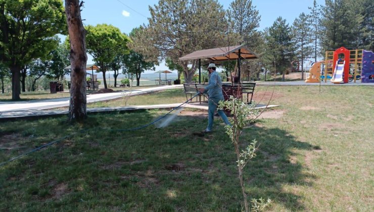KENE VE SİVRİSİNEKLE İLAÇLA MÜCADELE BAŞLADI