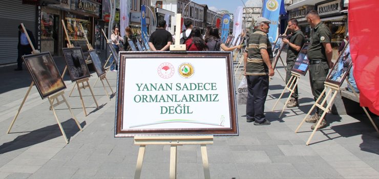 YOZGAT’TA ‘YANAN SADECE ORMANLARIMIZ DEĞİL’ SERGİSİ: YANGINLARA DİKKAT ÇEKTİ!
