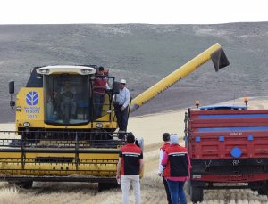 YOZGAT’TA HASAT BAŞLADI: HEDEF 172 BİN TON ARPA!