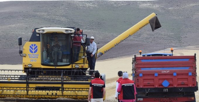 YOZGAT’TA HASAT BAŞLADI: HEDEF 172 BİN TON ARPA!